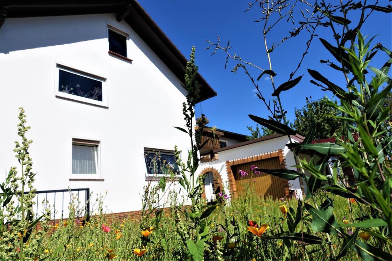 Ferienwohnung-M8 Im Schoenen Werratal Jestadt エクステリア 写真